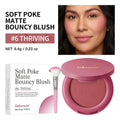Bouncy Matte Blush